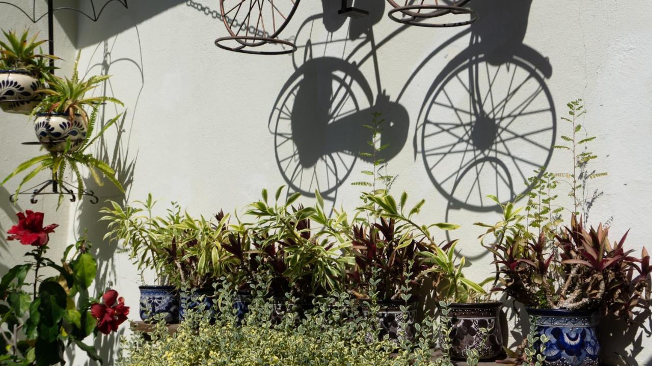 El Jardin Del Eden B&B Boutique Cuernavaca Exterior foto
